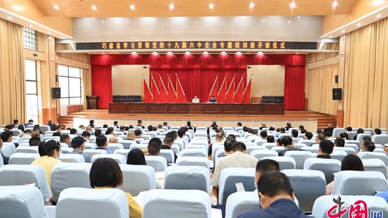 市政建造师教材型号规格：揭秘选择背后的关键要素