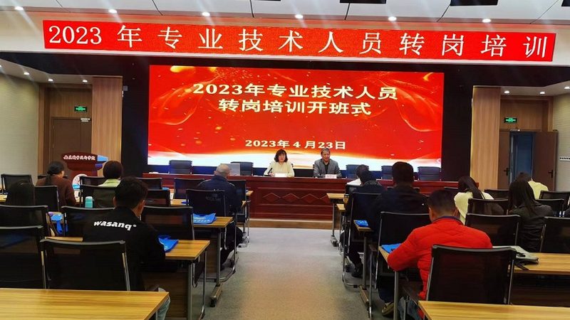 小标题：二战考生英语作文痛点分析
